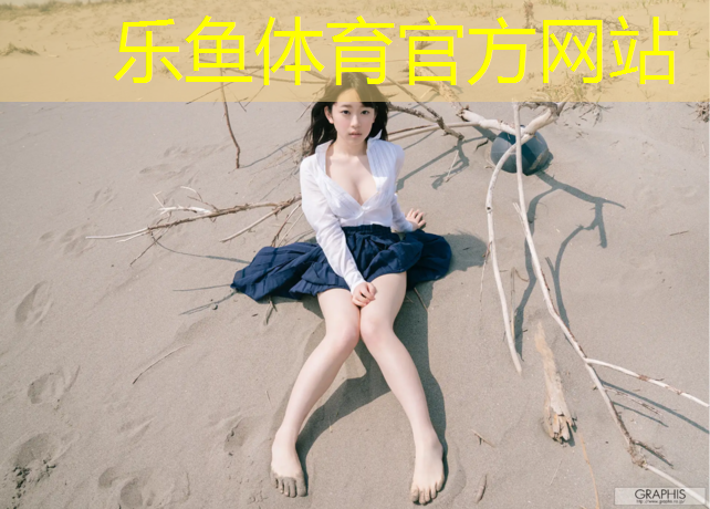 乐鱼体育官方网站,榆林智能塑胶跑道订制价格
