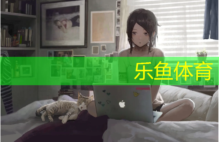 踏步机健身器材大型